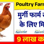 Poultry Farm Loan Yojana 2026 – मुर्गी फार्म खोलने के लिए मिलेगा 9 लाख रूपये तक का लोन 33% सब्सिडी के साथ, ऐसे करें आवेदन