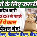 पेंशनधारकों के लिए बड़ी खबर: 31 मार्च से पहले कर लें ये काम! वरना रुक सकता है पेंशन भुगतान Pension Scheme Rules 2026