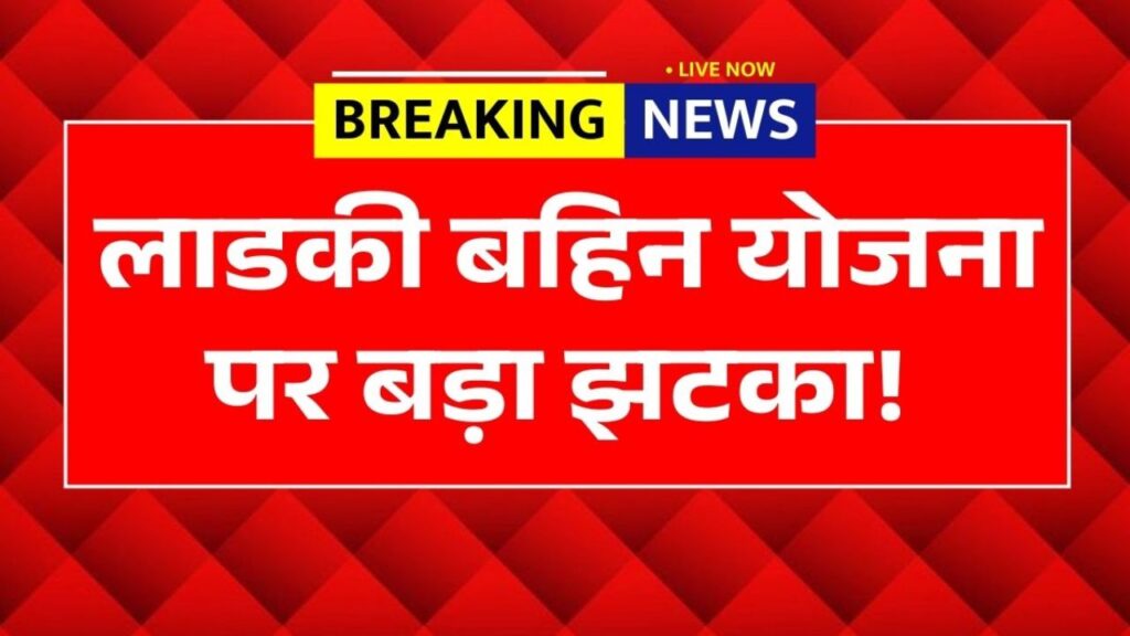 Untitled design (33)